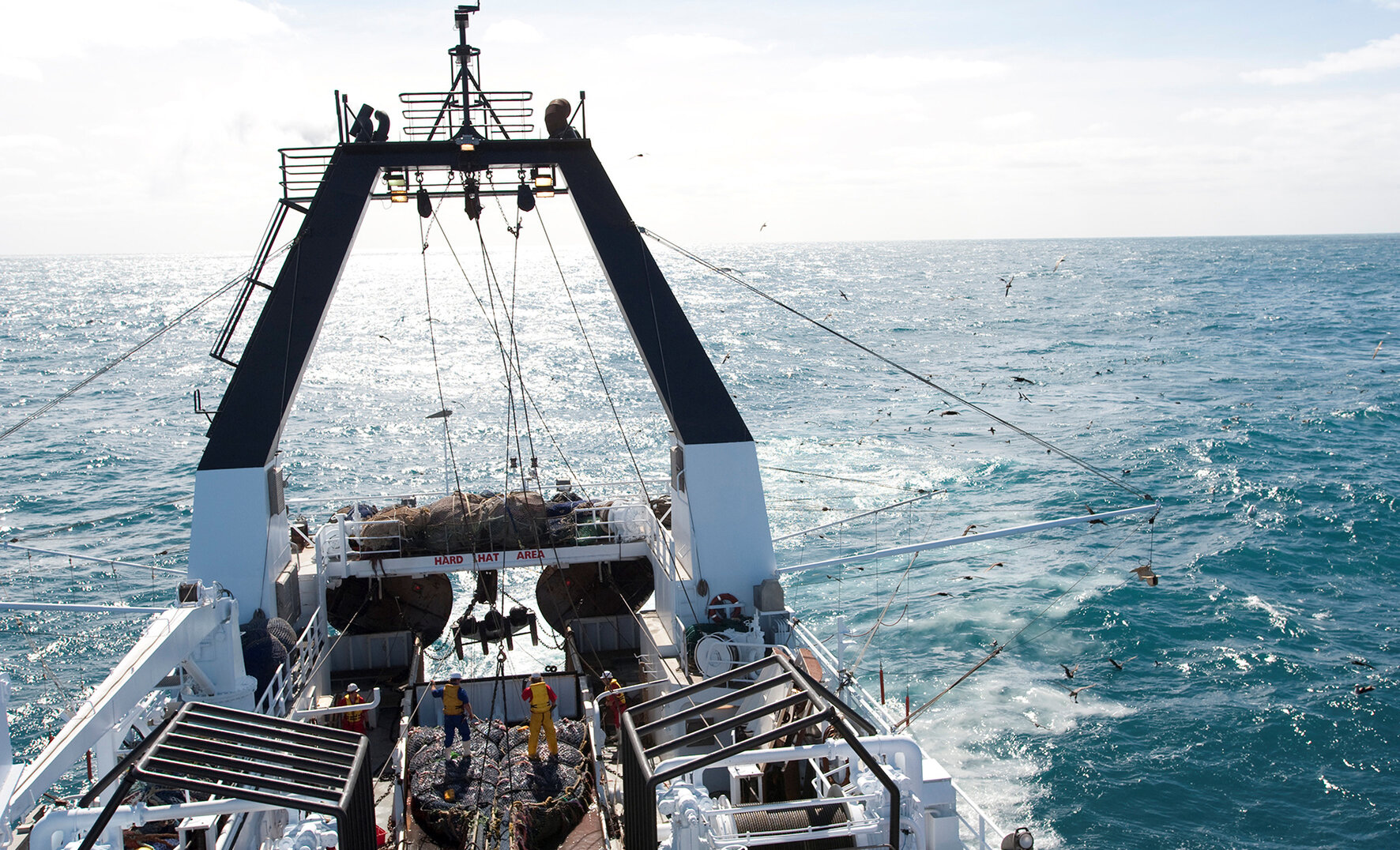 Sustainable Fishing New Zealand longterm ocean productivity Vela Fishing